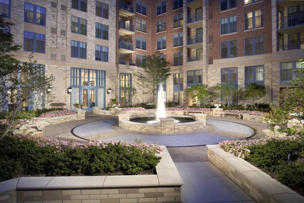 Bright And Cozy Apartment Near Pentagon City アーリントン エクステリア 写真